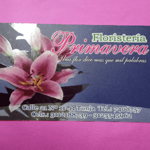 Floristería primavera-TUNJA-Boyacá