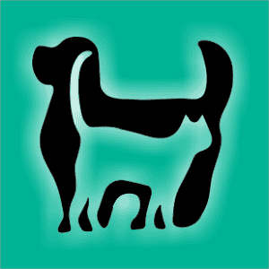 Clínica veterinaria MASCOTT-SOGAMOSO-Boyacá