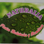 Logo mapa de contacto para Naturalia